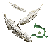 Feather Fall Icon