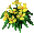 Poppysnaps