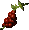 Widowsweep Berries