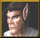 Elf Male