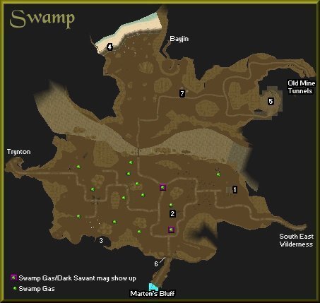 Swamp