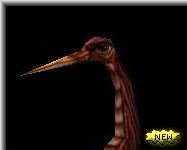 Picus - Click To Enlarge