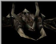 Roach - Click To Enlarge